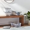Basics Plastic Storage Containers